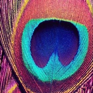 Meet your Posher, Ashlyn